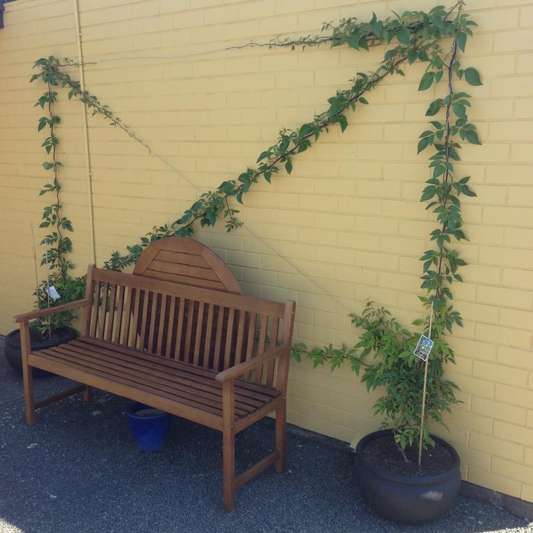 Mount View Motel Hawera Exterior foto